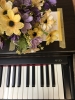 PIANO ĐIỆN CASIO AP20 - anh 3