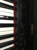 ROLAND HP 3800G - anh 2
