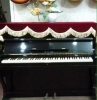 PIANO LESTER - anh 1